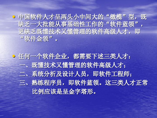 中国软件行业的发展前途PPT资料66页