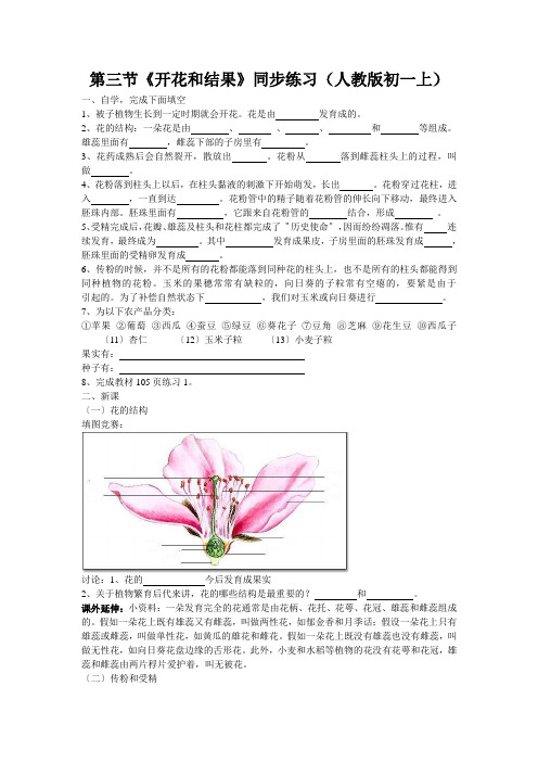 第三节《开花和结果》同步练习(人教版初一上)