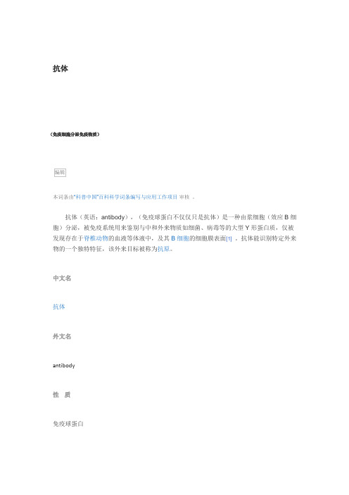 抗体