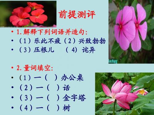 第十一课《寻找幸运花瓣》第三课时