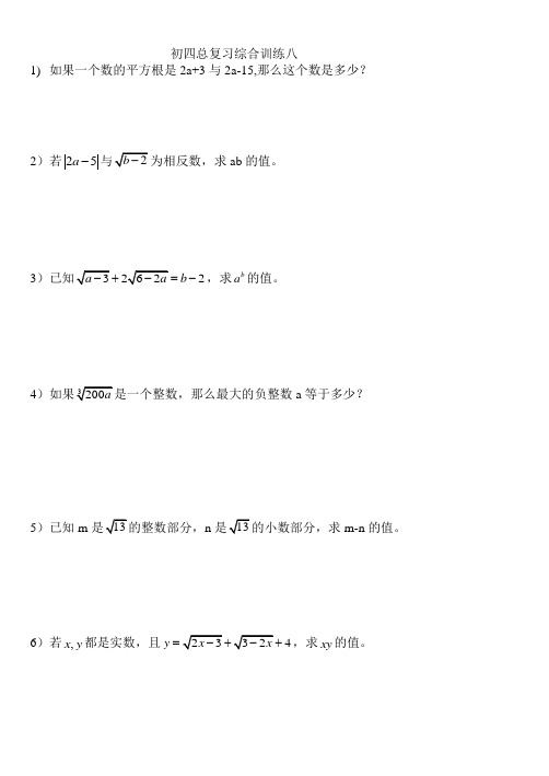 初四总复习综合训练八