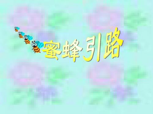 人教版小学二年级下册语文第26课《蜜蜂引路》PPT优质课