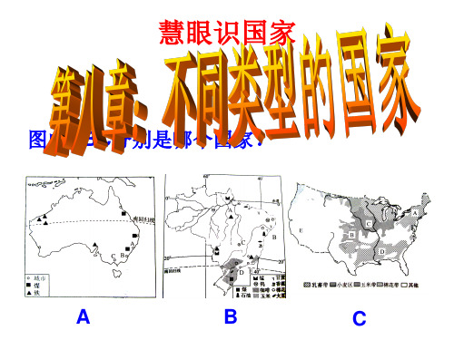 商务星球版地理七年级下册第八章不同类型的国家(澳大利亚、巴西、美国)(共16张PPT)