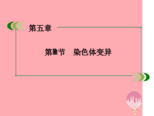 高中生物第五章基因突变及其他变异52染色体变异课件2新人教版必修2