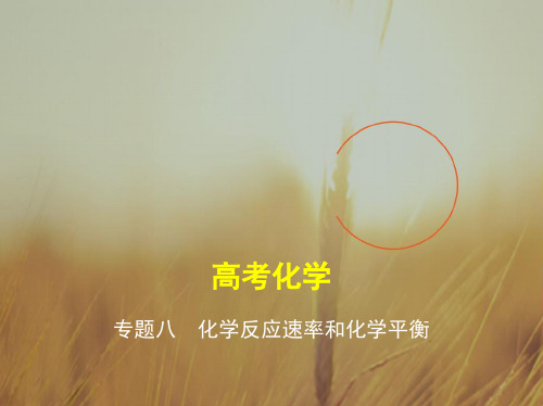 最新-五年高考三年模拟2021届高三化学新课标一轮复习课件：专题八 化学反应速率和化学平衡 精品