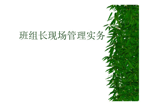 班组长现场管理实务(仅供参考)