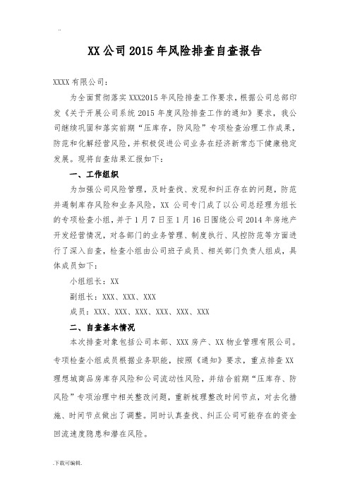 某公司风险排查自查报告