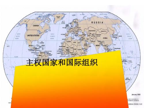 主权国家和国际组织概述(PPT 28张)