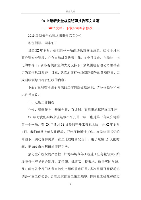2019最新安全总监述职报告范文5篇