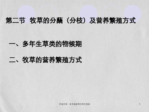 草地学第一章草地植物生物学基础