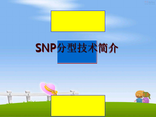最新SNP分型技术简介