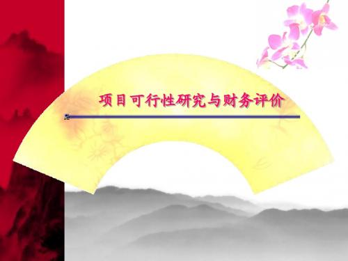 可行性研究与财务评价