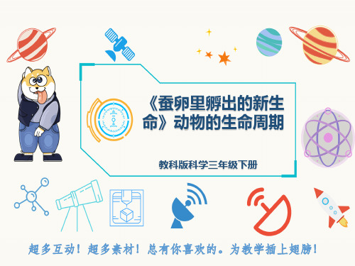 教科版科学三年级下册《蚕卵里孵出的新生命》动物的生命周期