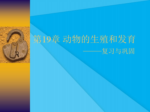 动物的生殖和发育PPT课件5 苏科版优秀课件