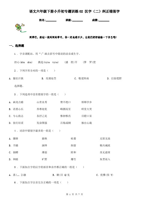 语文六年级下册小升初专题训练02 汉字(二)纠正错别字