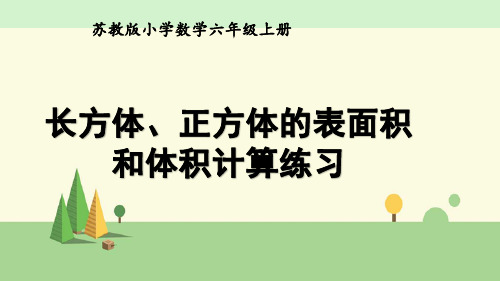 苏教版 数学 六年级上册    长方体、正方体的表面积和体积计算练习