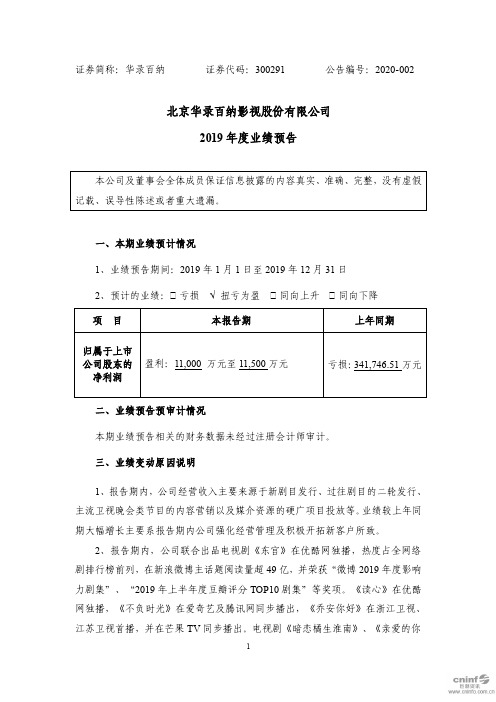 华录百纳：2019年度业绩预告