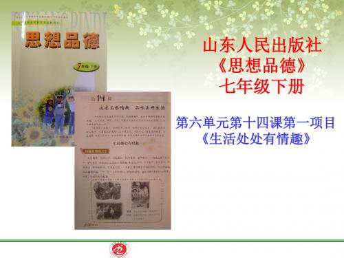鲁教版七年级下册政治生活处处有情趣说课PPT模板