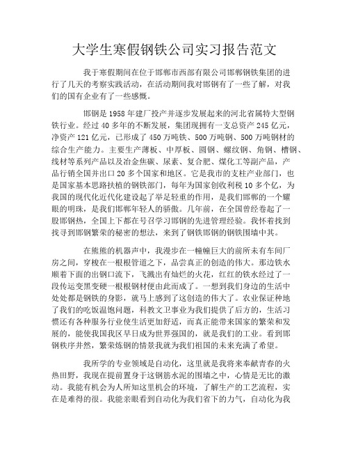 大学生寒假钢铁公司实习报告范文