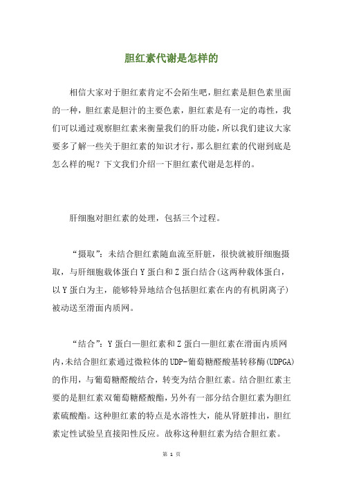 胆红素代谢是怎样的