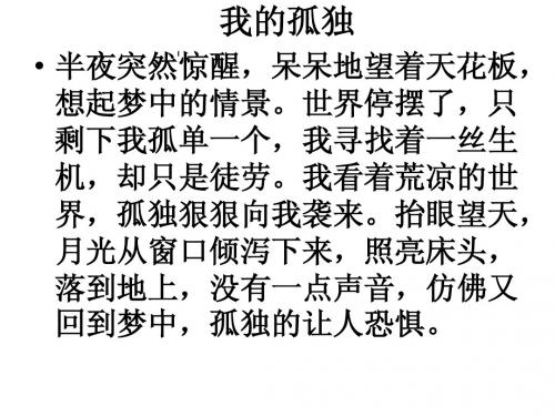 我的孤独