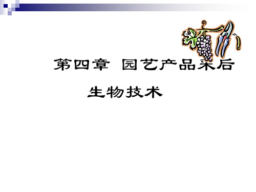 第四章  采后保鲜 园艺产品保鲜 农产品保鲜