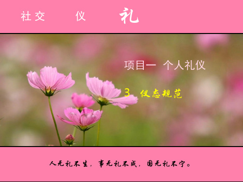 《社交礼仪》精品PPT课件