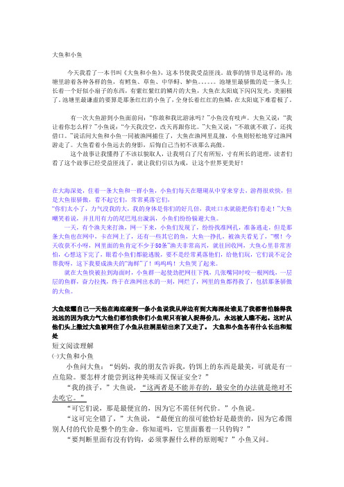 大鱼和小鱼