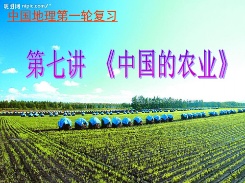 《中国的农业》PPT课件