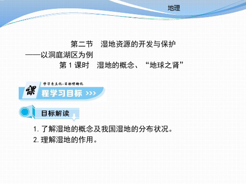第2章第2节 课时1湿地的概念“地球之肾”