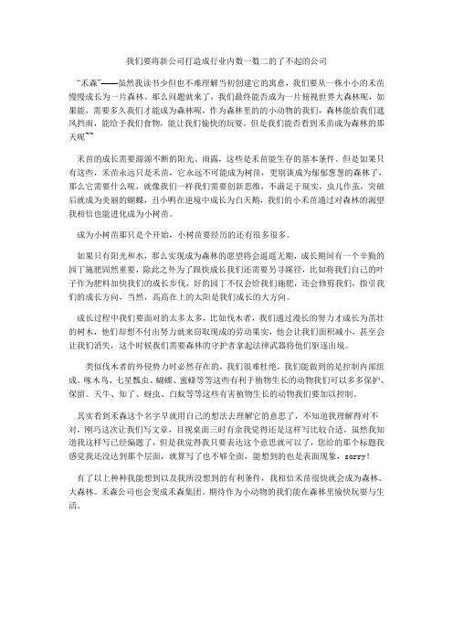 我们要将新公司打造成行业内数一数二的了不起的公司 (4)