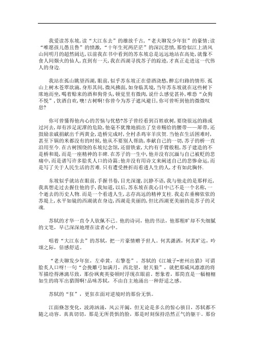 走进苏轼作文800字(最新)