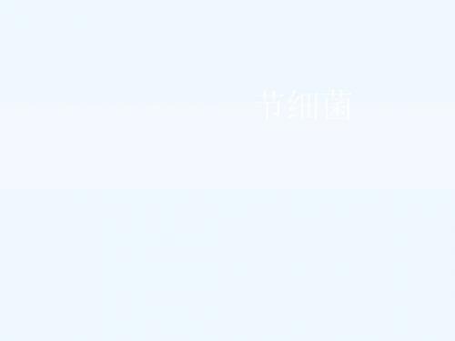 八年级生物上册 5.4.2《细菌》课件 (新版)新人教版