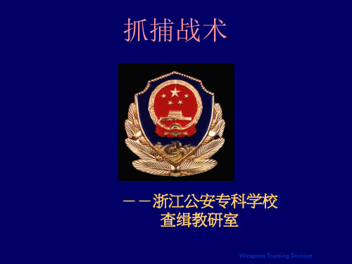 抓捕战术