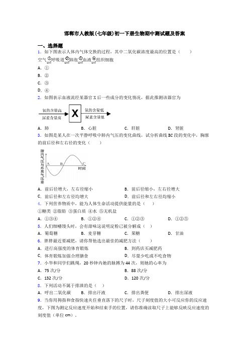 邯郸市人教版(七年级)初一下册生物期中测试题及答案