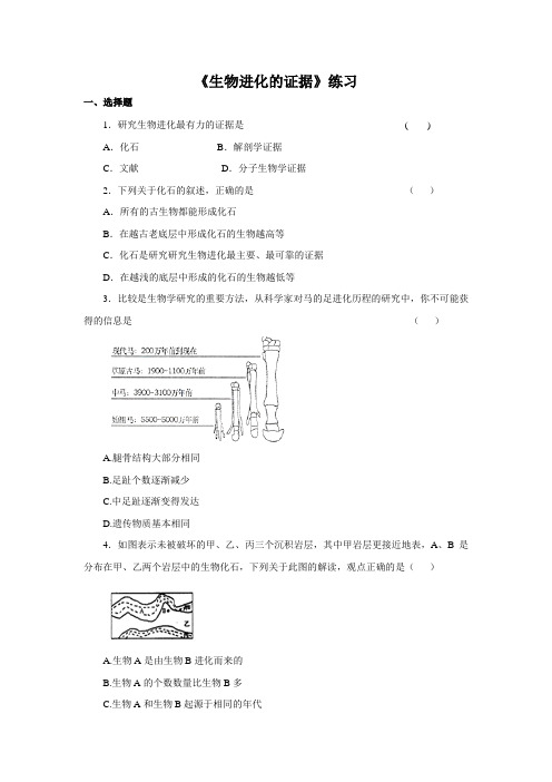 济南版生物八年级下册5.1.2《生物进化的证据》word练习题