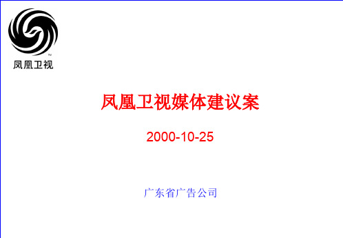 凤凰卫视广告媒体投放策略(ppt 44页)