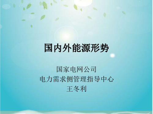 国内外能源形势