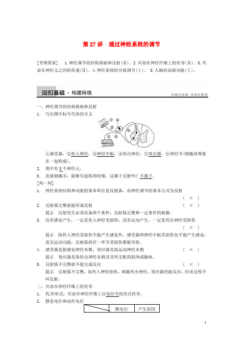 高考生物一轮复习 第八单元 生命活动的调节与免疫 第2
