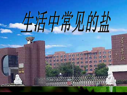 人教版初中化学九下11.1 生活中常见的盐 课件  