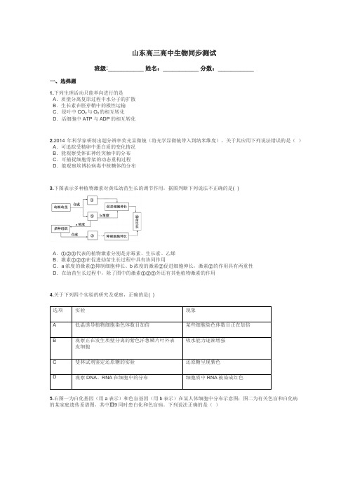 山东高三高中生物同步测试带答案解析
