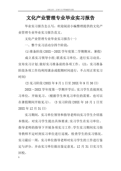 文化产业管理专业毕业实习报告