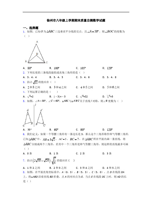 徐州市八年级上学期期末质量自测数学试题