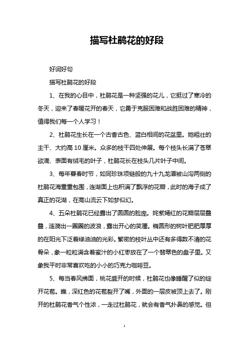 描写杜鹃花的好段