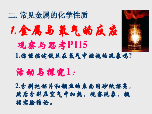 金属与金属矿物PPT课件(4)
