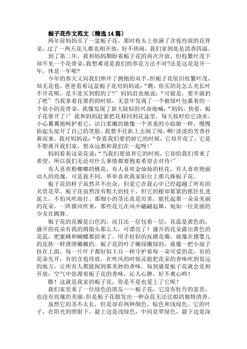 栀子花作文范文(精选14篇)范文精选