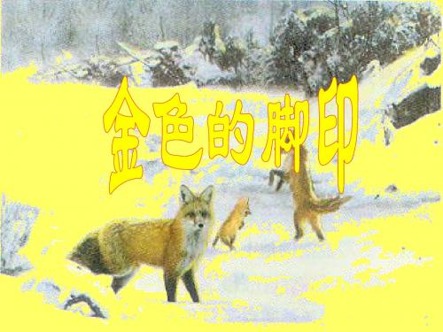 24、金色的脚印1