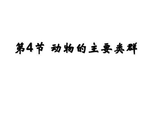 动物的主要类群