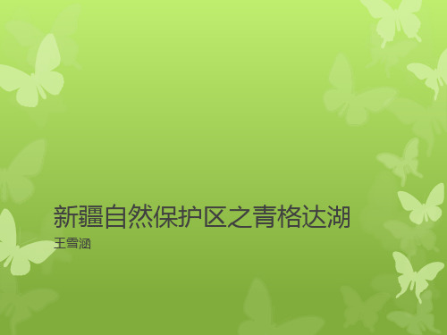 新疆自然保护区之青格达湖
