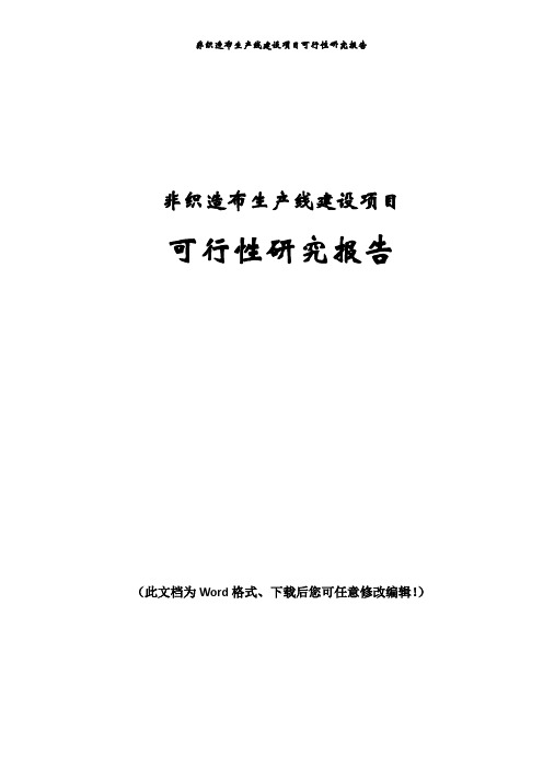 非织造布生产线建设项目可行性研究报告